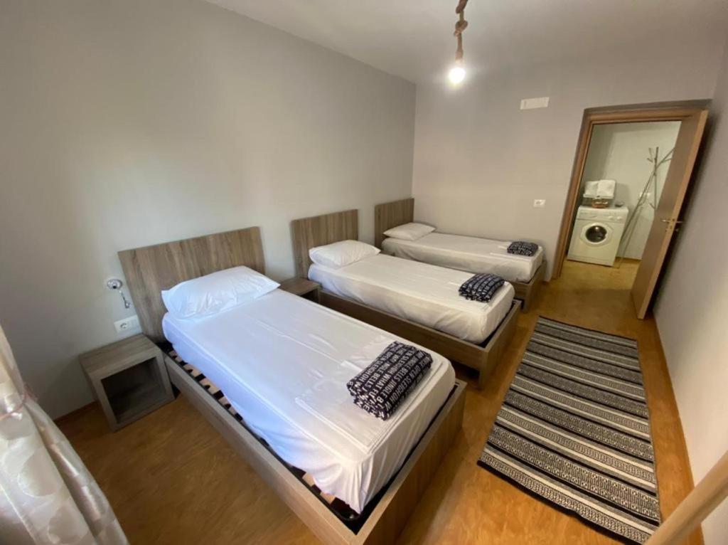 Center Apartment 2 Szkodra Zewnętrze zdjęcie